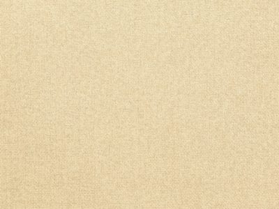 Tkanina obiciowa Italsenso kolekcja CACTUS 1