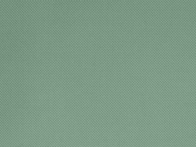 Tkanina obiciowa Italsenso kolekcja TOKYO 160