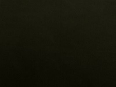 Tkanina obiciowa Italsenso kolekcja RICCO 0538