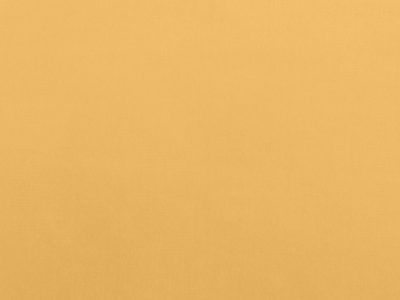 Tkanina obiciowa Italsenso kolekcja RICCO 1434