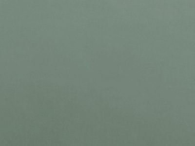 Tkanina obiciowa Italsenso kolekcja RICCO 5503