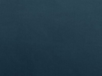 Tkanina obiciowa Italsenso kolekcja RICCO 5604