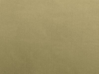 Tkanina obiciowa Italsenso kolekcja RICCO 6247