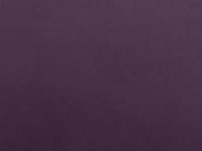 Tkanina obiciowa Italsenso kolekcja RICCO 9848