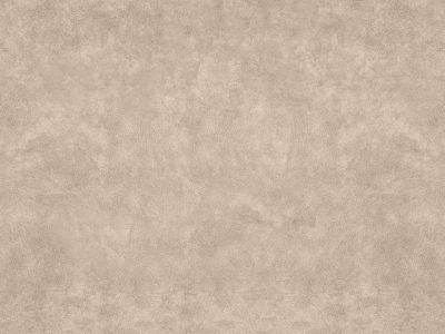 Tkanina obiciowa Italsenso kolekcja DELICATO 1