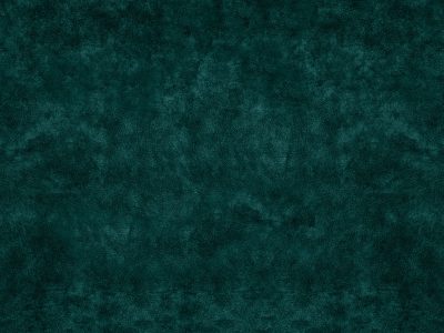 Tkanina obiciowa Italsenso kolekcja DELICATO 10