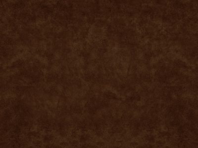 Tkanina obiciowa Italsenso kolekcja DELICATO 6