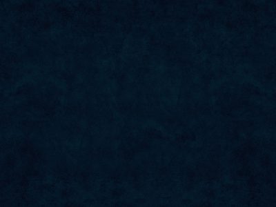 Tkanina obiciowa Italsenso kolekcja DELICATO 9